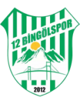 12 Bingölspor